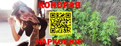 твердый Кингисепп