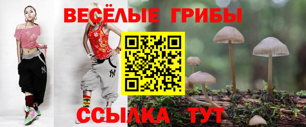 Галлюциногенные грибы ЛСД Кимры